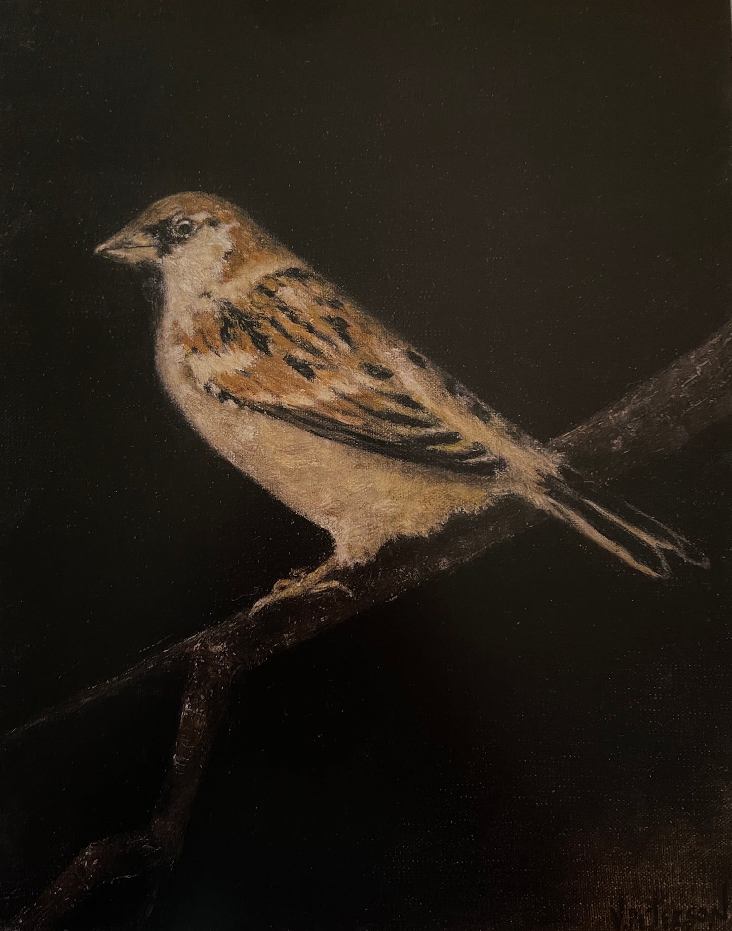 Eye on the Sparrow Art Print