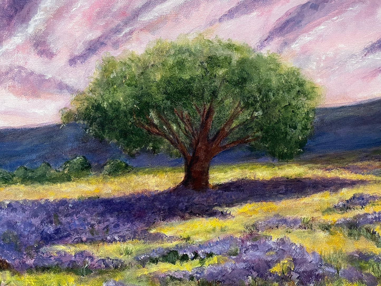 Consider the Wildflowers Art Print