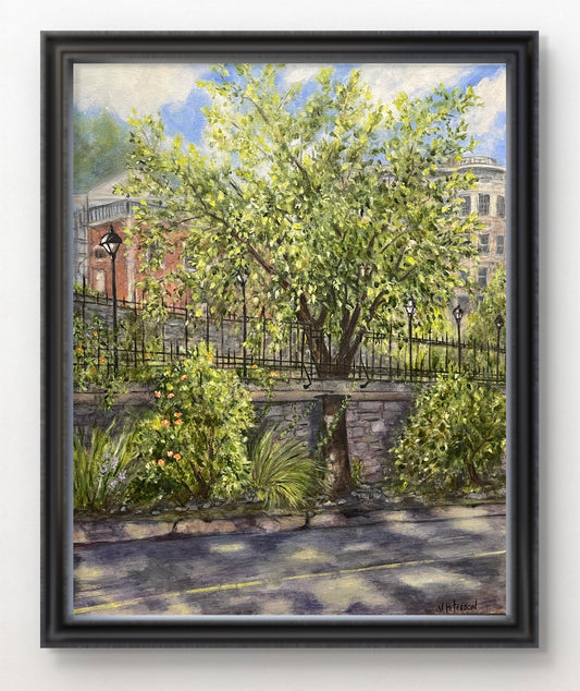 Room to Grow Art Print