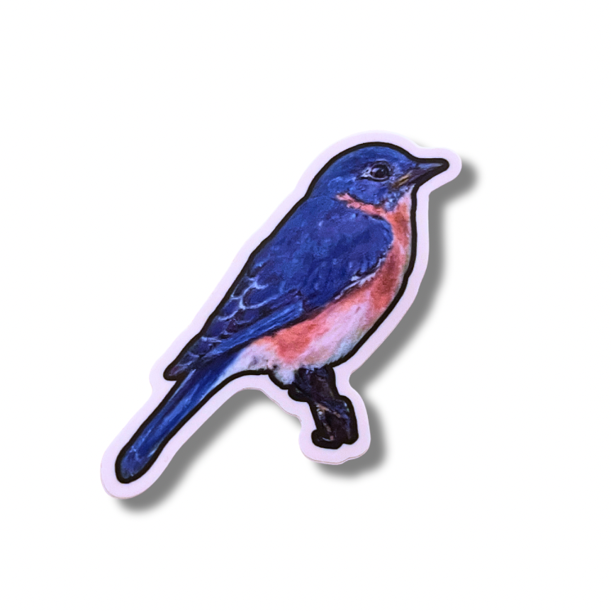 Vinyl Eastern Bluebird Sticker