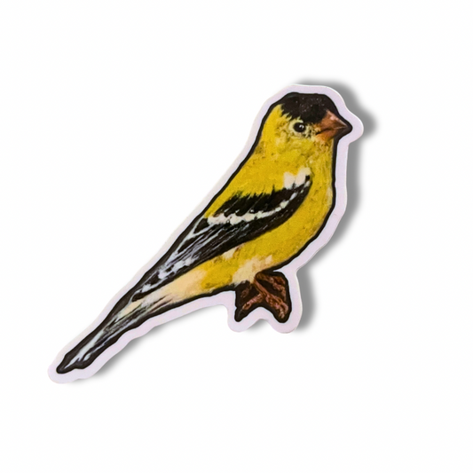 Vinyl American Goldfinch Sticker
