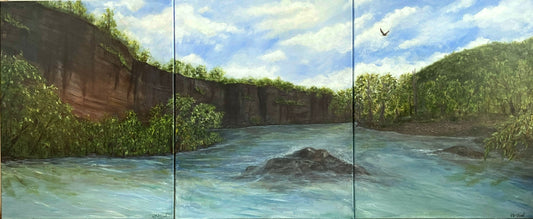 Original Acrylic Painting. Let the River Take it All Away. Buffalo National River