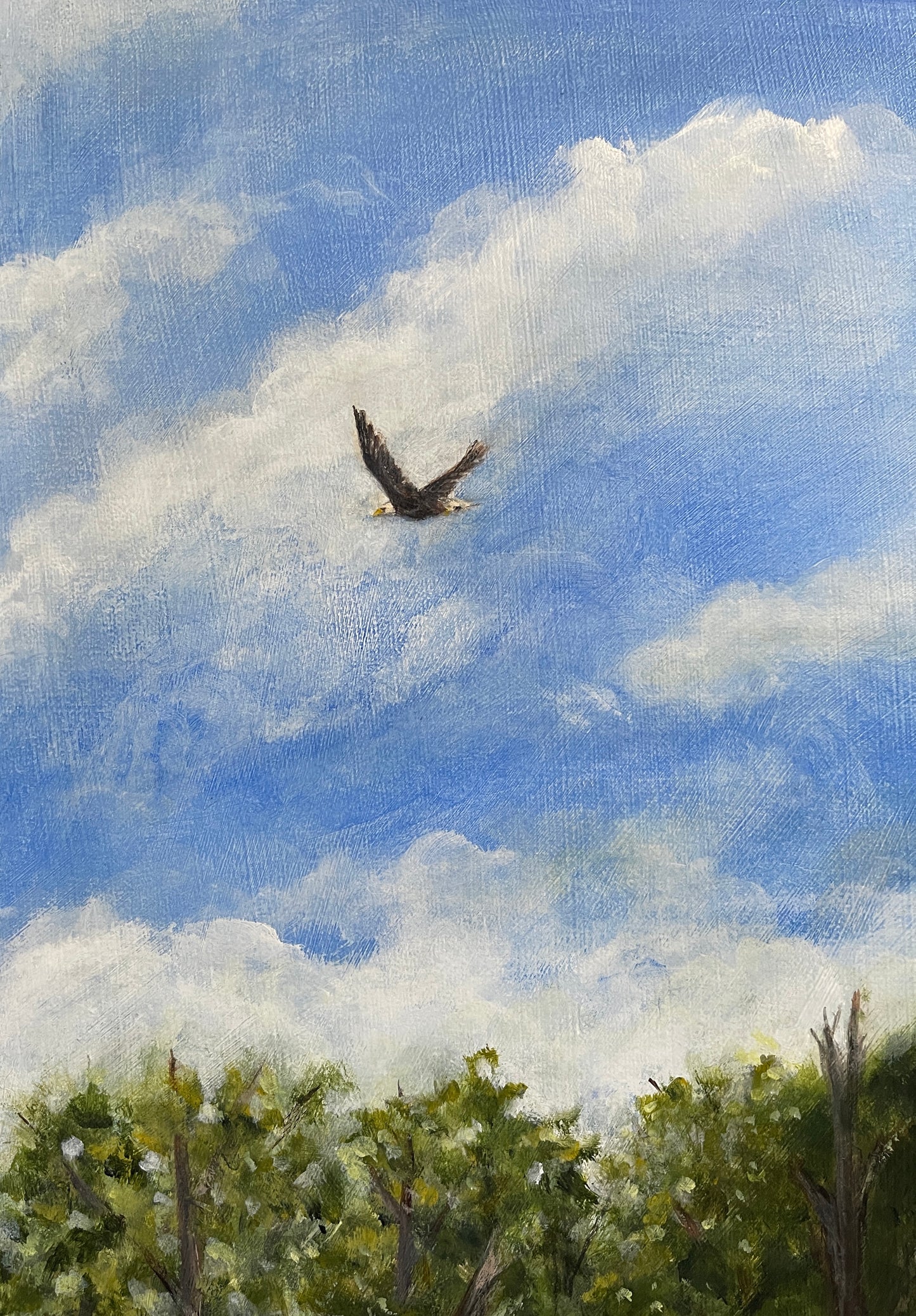 Original Acrylic Painting. Let the River Take it All Away. Buffalo National River