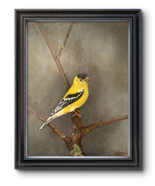 American Goldfinch Art Print